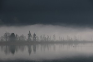 A misty lake somewhere in Austria (I really don't know where)