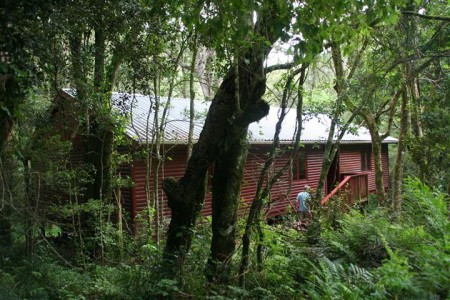 Treehaven Hogsback Hogsback | Fiddlings